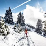 Sabot De Venus Sa4 Telecabine & Mountain 6 Pers Châtel