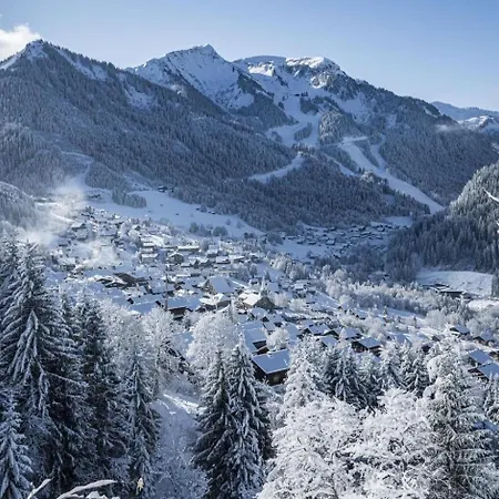 Sabot De Venus Sa4 Telecabine & Mountain 6 Pers * Châtel