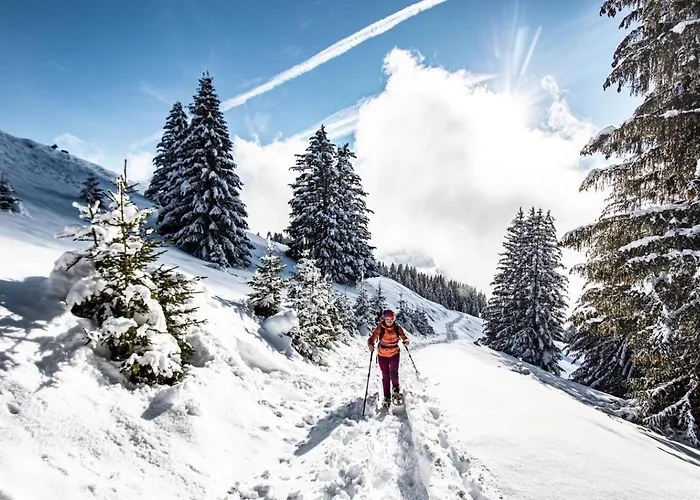 Sabot De Venus Sa4 Telecabine & Mountain 6 Pers Châtel